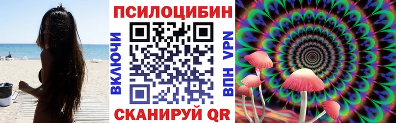 hydra tor  Пыталово  Псилоцибиновые грибы мухоморы 